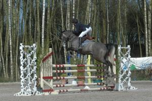 ARQANA DE RIVERLAND