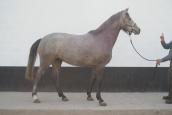 DSC03596.JPG