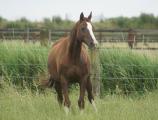 DSC05557_EVEF_%282%29.JPG