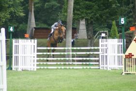 LES ENGAGES DE FONTAINEBLEAU