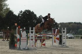 Un Fils de Number One d'Iso remporte les 6 ans 