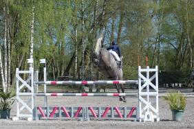 Les resultats du week end 