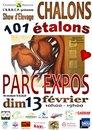 SHOW DES ETALONS DE CHALONS 
