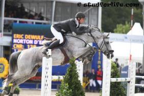 Norton d'Eole, 2eme meilleur pere des chevaux de 5 ans ...