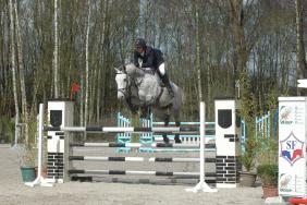 Des jeunes couples en devenir 