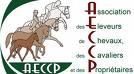 Presentation d'etalons a Amiens