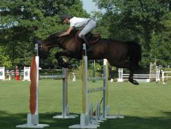 Bon week end pour Shaman du Yam's et Nicolas Delmotte